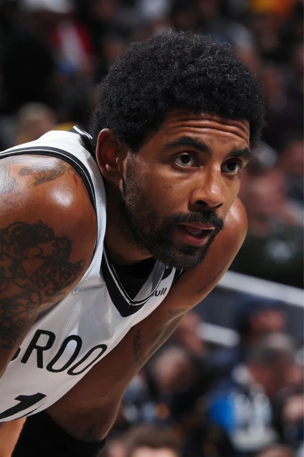 库里不仅延 库里不仅延