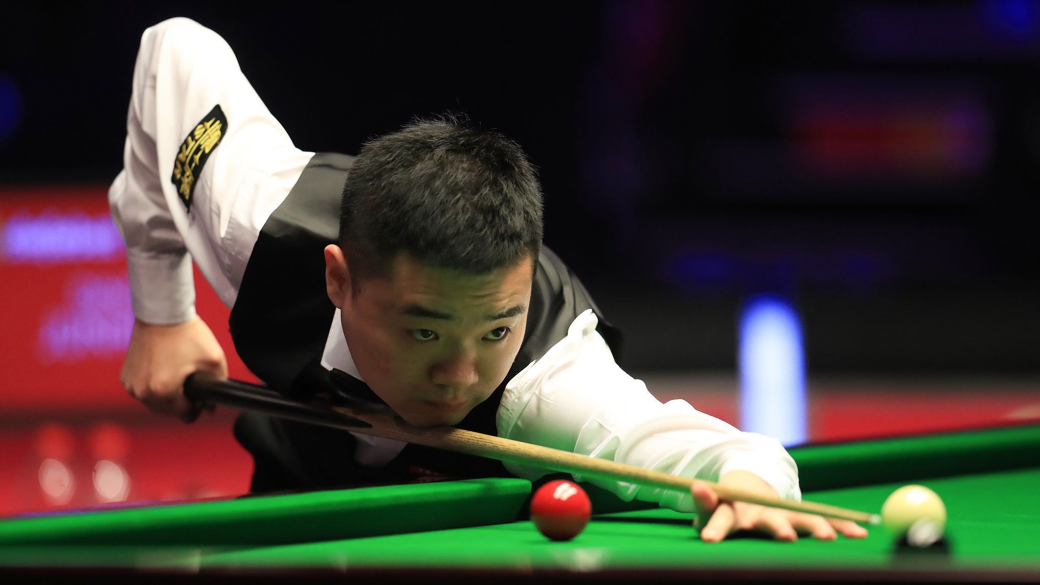 养本土年轻 养本土年轻